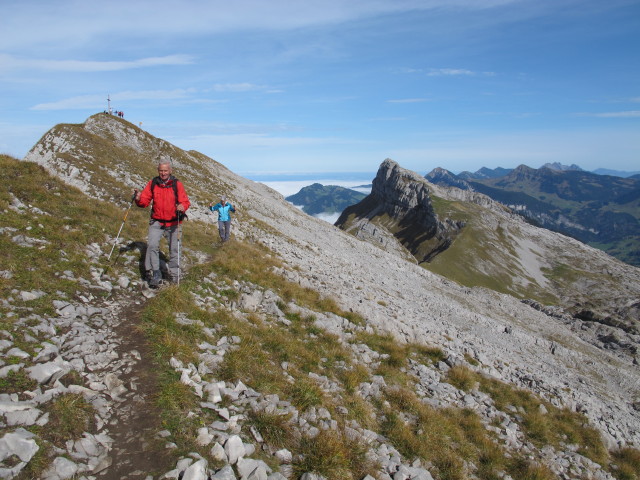 zwischen Hengst und T&uuml;rsteh&auml;uptli