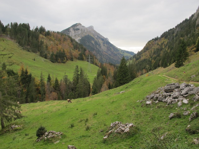 zwischen Schneebergli und Unterhirschw&auml;ngiberg