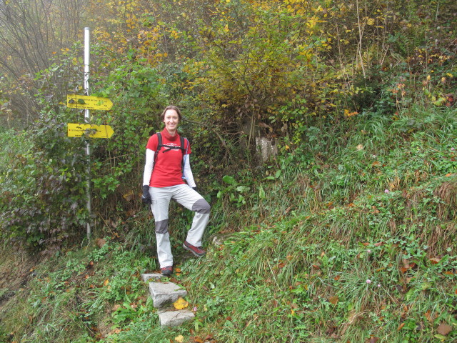 Carmen zwischen Kleinreifling und D&uuml;rreck