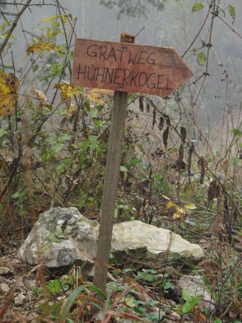 zwischen Kleinreifling und D&uuml;rreck