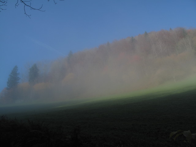 zwischen Kleinreifling und Dürreck