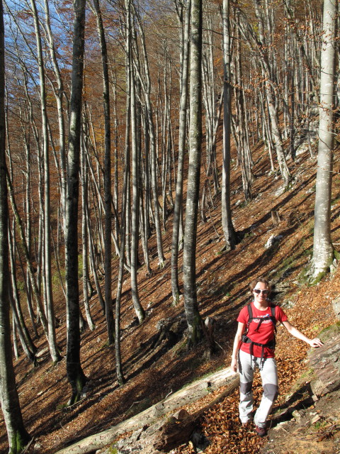 Carmen zwischen Kleinreifling und Dürreck