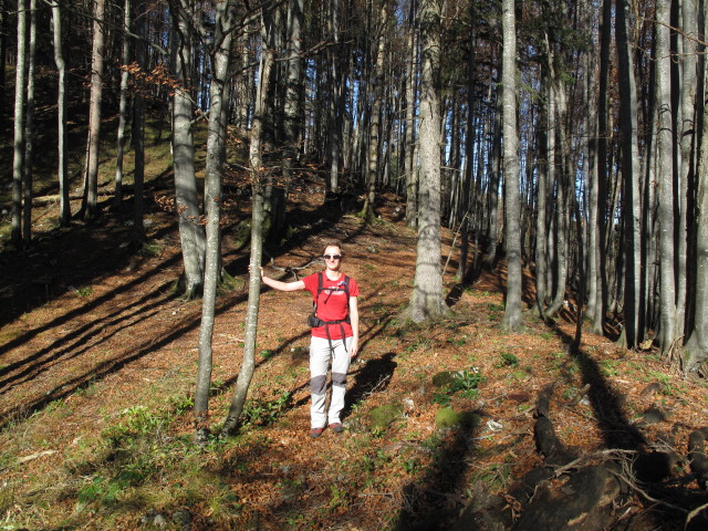 Carmen zwischen Kleinreifling und Dürreck