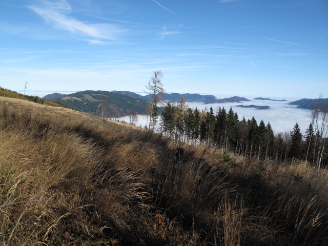 vom Dürreck Richtung Nordosten