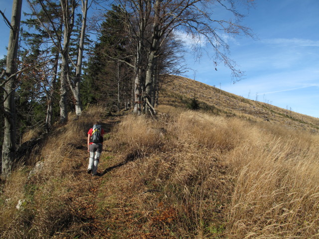 Carmen zwischen D&uuml;rreck und Ennsboden