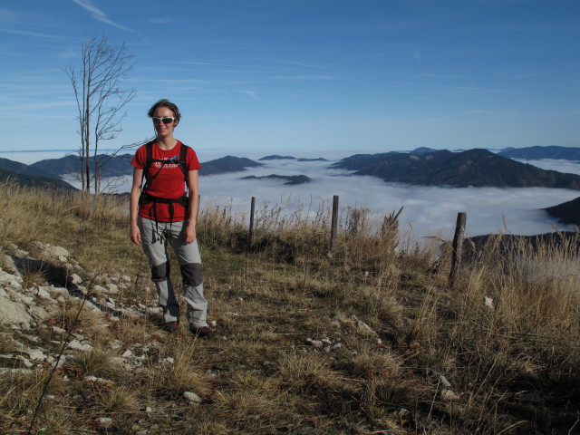 Carmen zwischen Dürreck und Ennsboden