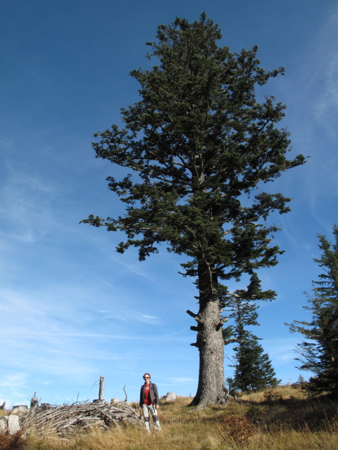 Carmen zwischen Ennsberg und Hühnerkogel