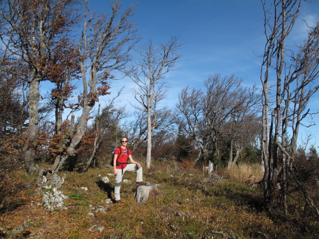 Carmen zwischen Ennsberg und H&uuml;hnerkogel