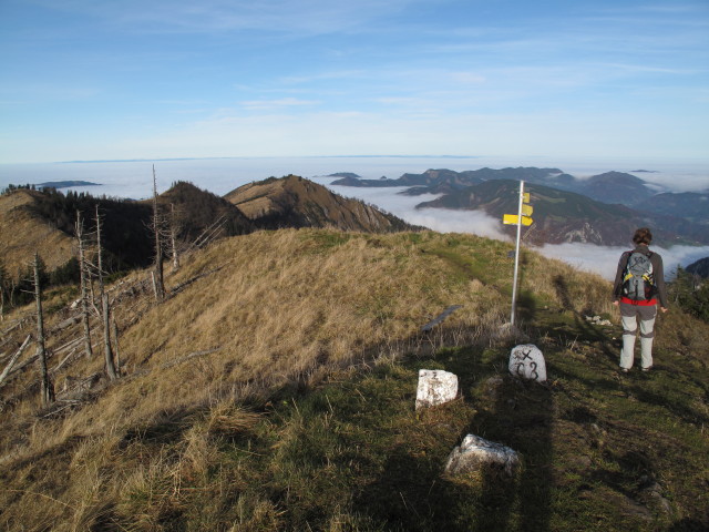 Carmen zwischen Almkogel und Ennser Hütte