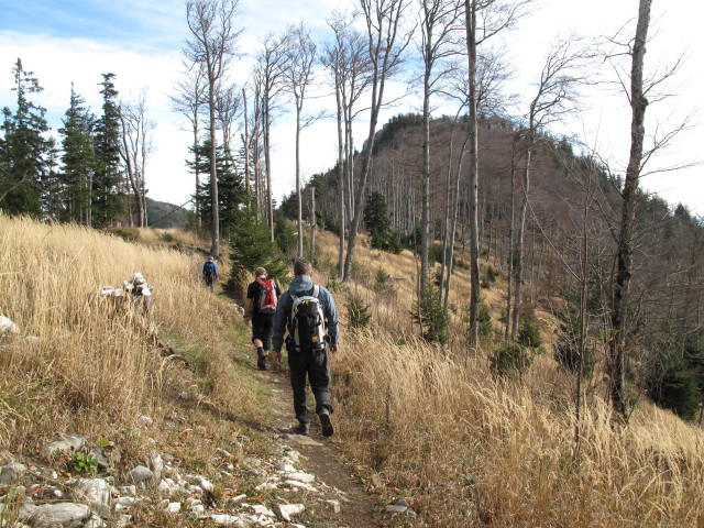 Erich und Erich auf Weg 14 zwischen D&uuml;rrem Eck und Gaisberg