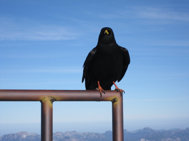 Unterer Eisstein, 2.654 m