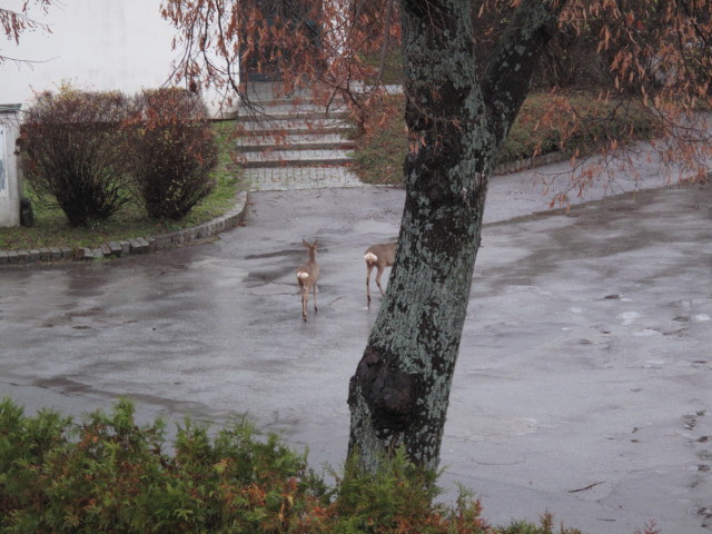 S&uuml;&szlig;enbrunner Platz