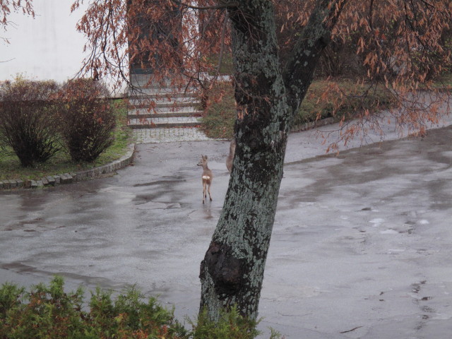 S&uuml;&szlig;enbrunner Platz