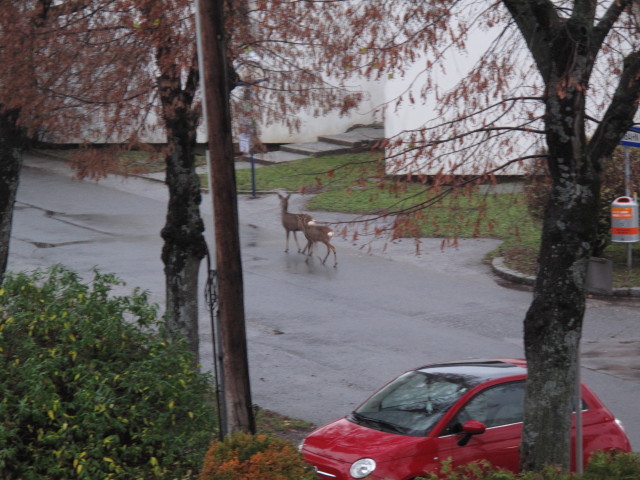 S&uuml;&szlig;enbrunner Platz