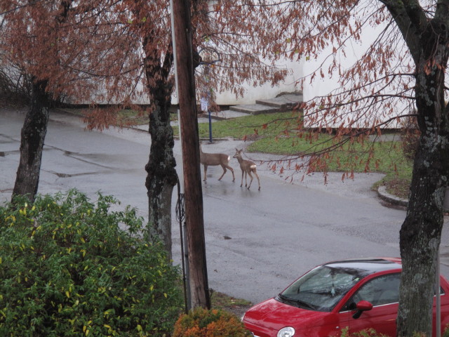 S&uuml;&szlig;enbrunner Platz