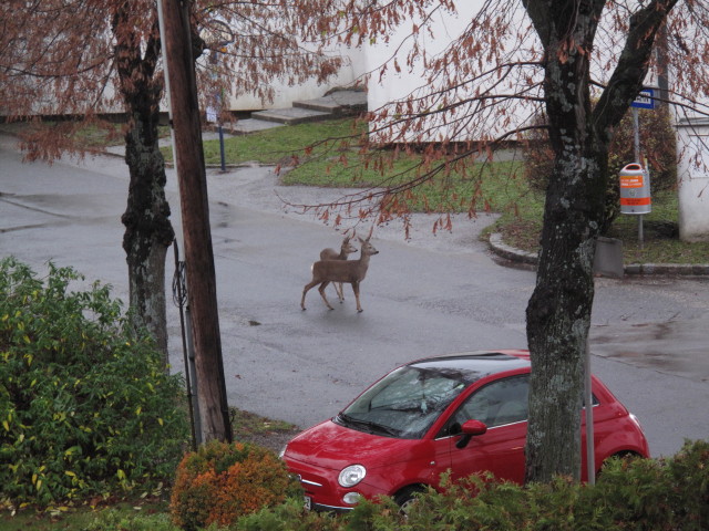 S&uuml;&szlig;enbrunner Platz