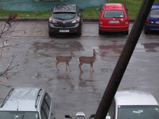 S&uuml;&szlig;enbrunner Platz