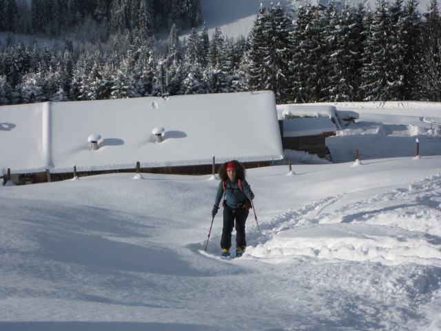 Anabel zwischen Urschla und Hinterdemmelshüttenalm