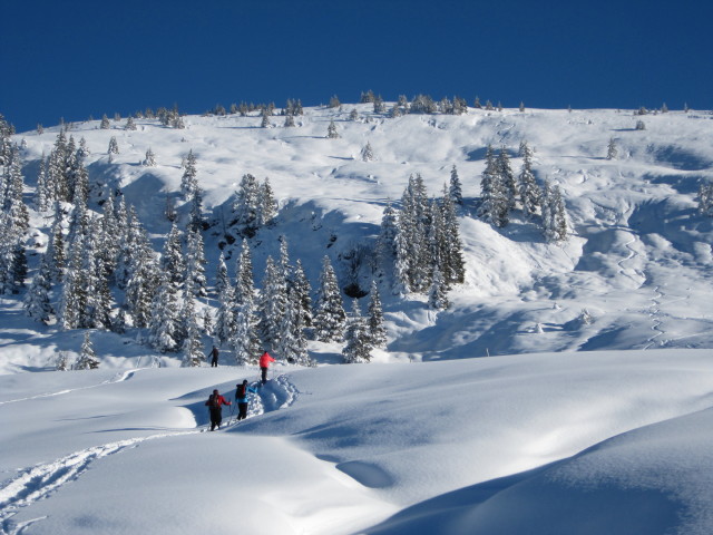Axel auf der Lodronalm