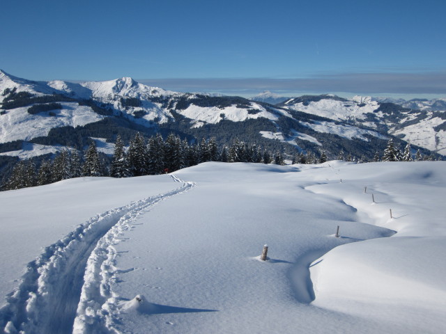 Erhard zwischen Unterer Lodronalm und Lodronalm
