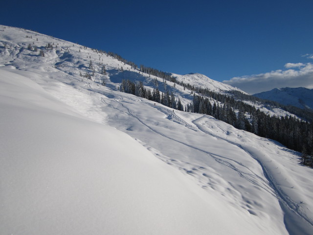 zwischen Lodron und Unterer Lodronalm