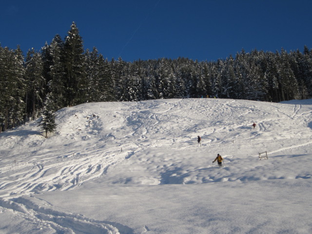 Anabel, Wolfgang und Erhard zwischen Urschla und Hinterstein