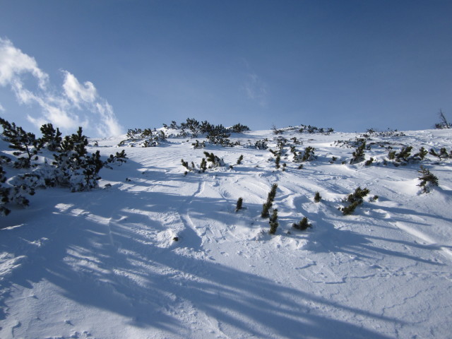 zwischen Hochanger und Göriacher Alm