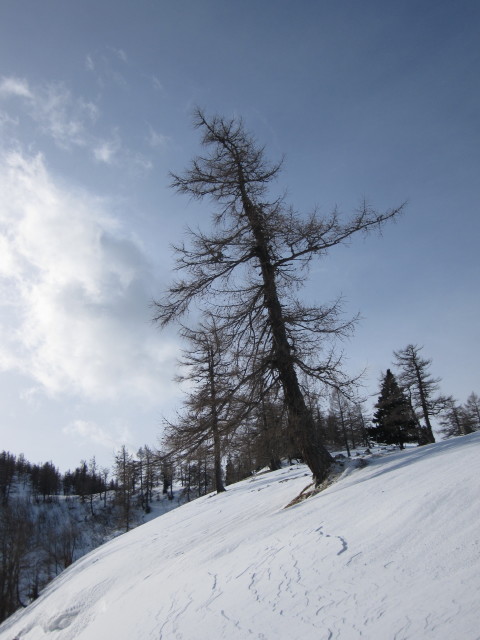 zwischen Hochanger und Göriacher Alm