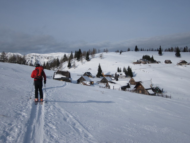 Erich auf der Göriacher Alm, 1.429 m