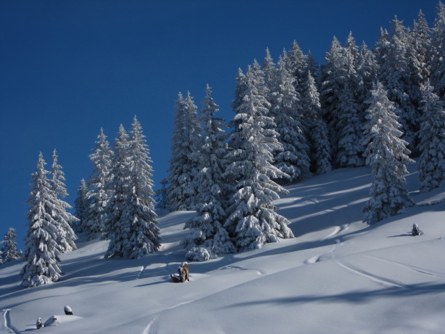 neben der Vermielbahn