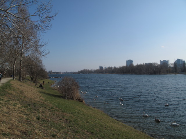 Obere Alte Donau