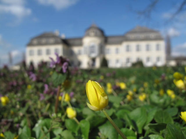 Schloss Niederweiden