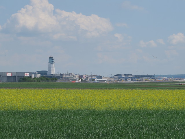 Flughafen Wien-Schwechat, 179 m