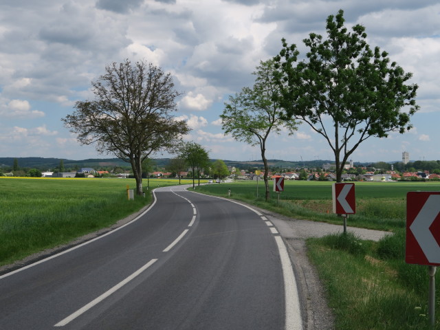 zwischen Schwadorfer Wald und Schwadorf