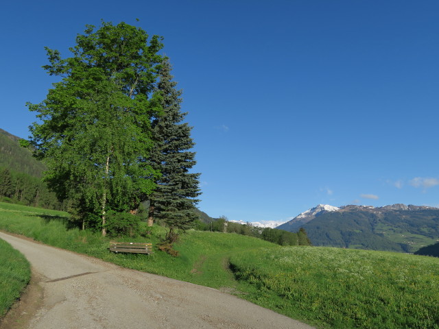 zwischen Stilfes und Weg 14A