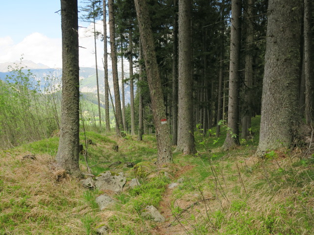 Weg 3 zwischen Spilucker Scharte und Rioltal