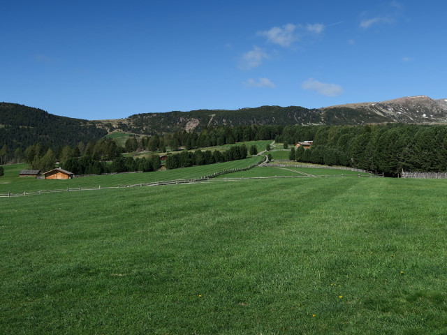 Villanderer Alm (16. Mai)