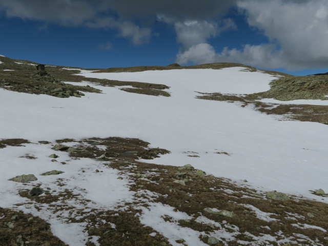 neben Weg 8A zwischen Gedrumsee und Blankenhorn (16. Mai)