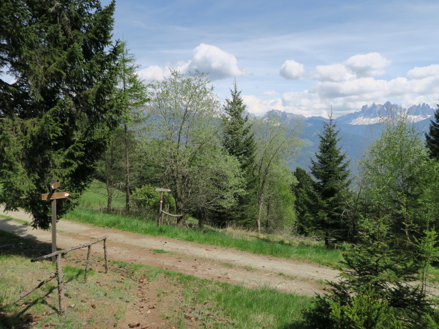 Weg 18 am Bleiberg (17. Mai)