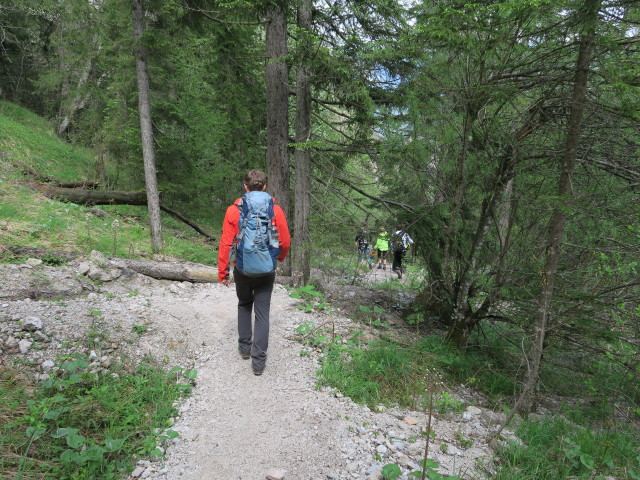 Christian, Stefan, Sabrina und Romana auf Weg 445 zwischen Grünsteinhütte und Jodler