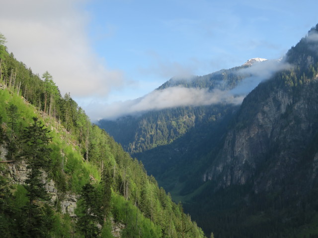 Kötschachtal (31. Mai)