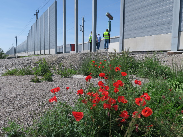 zwischen Knoten Wagram und Pummersdorfer Tunnel