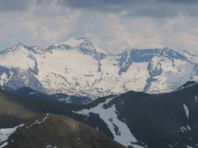 Tischlerkarkees vom Laderdinger Gamskarspitz aus (4. Juni)