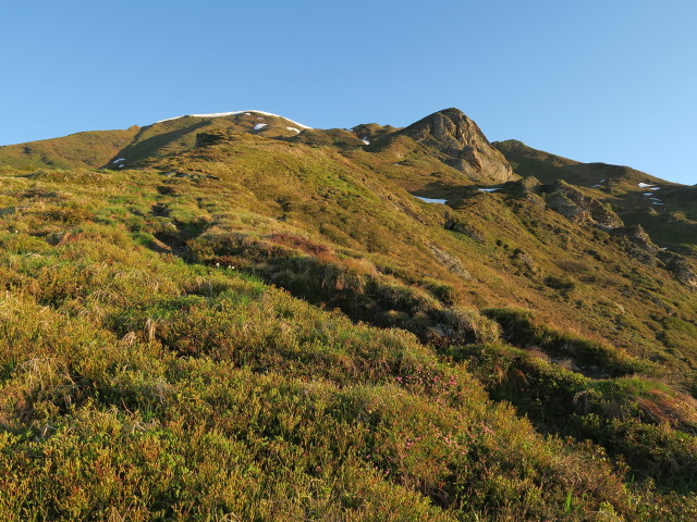 zwischen Gamskarkogel und Tofernscharte (5. Juni)