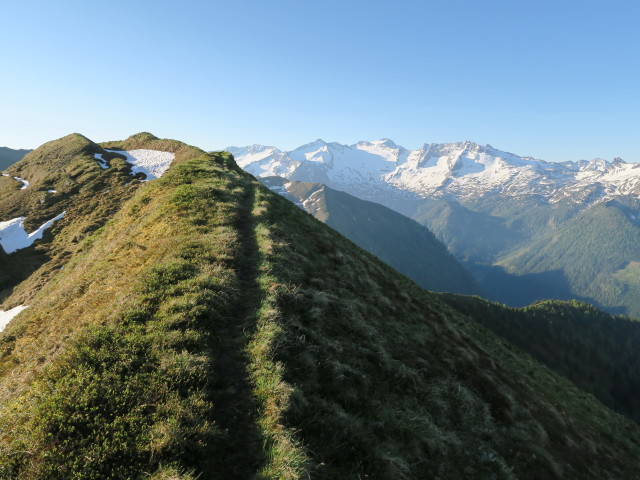 zwischen Finsterkopf und Throneck (5. Juni)