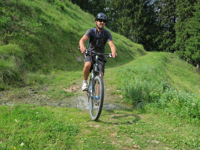 zwischen Mitteregg und Hundsdorf (6. Juni)