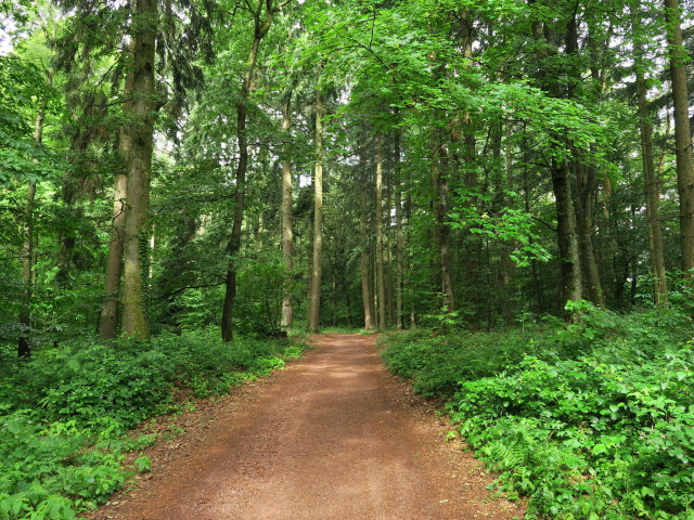Saarschleife-Tafeltour zwischen Mettlach und Burg Monclair (13. Juni)