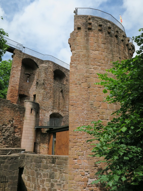 Burg Montclair, 290 m (13. Juni)