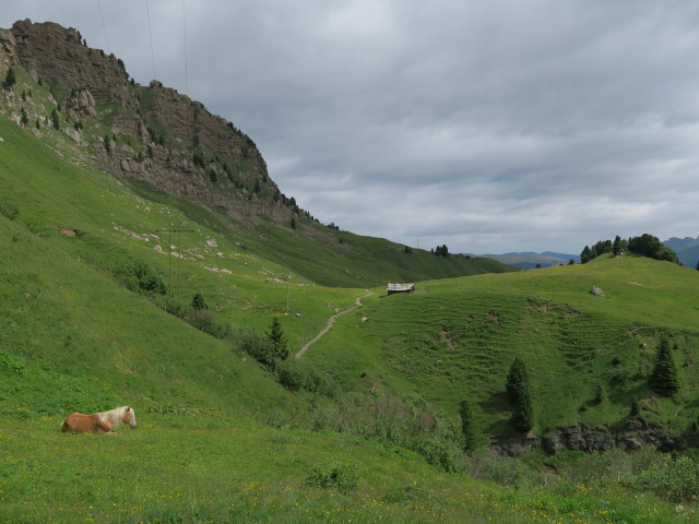 Weg 7 zwischen Weg 8 und Mahlknechthütte (21. Juni)