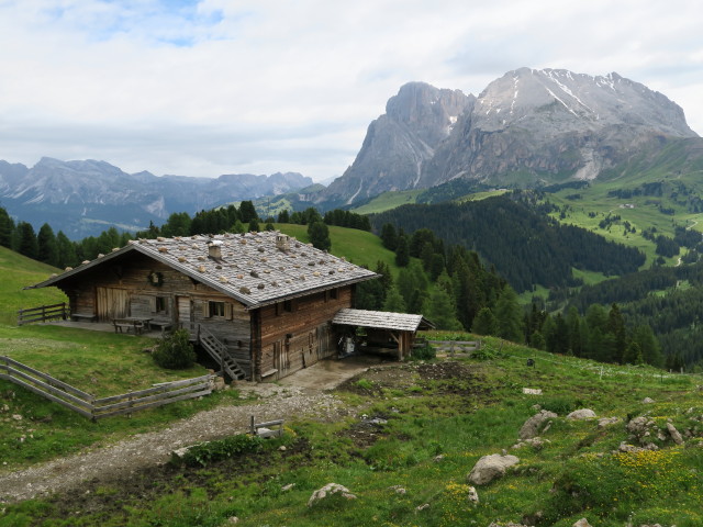 Sattel Schwaige, 2.033 m (21. Juni)